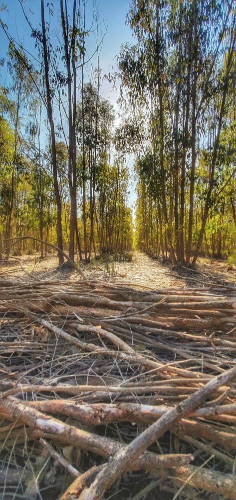 Photograph by Chraibi Hicham