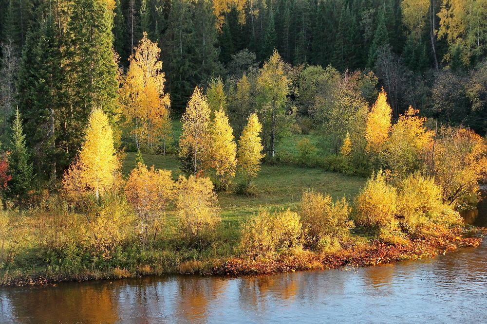 В лучах заходящего солнца