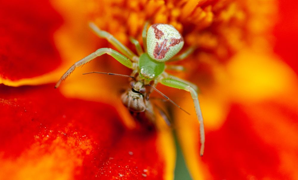 Photograph by Михаил Редин