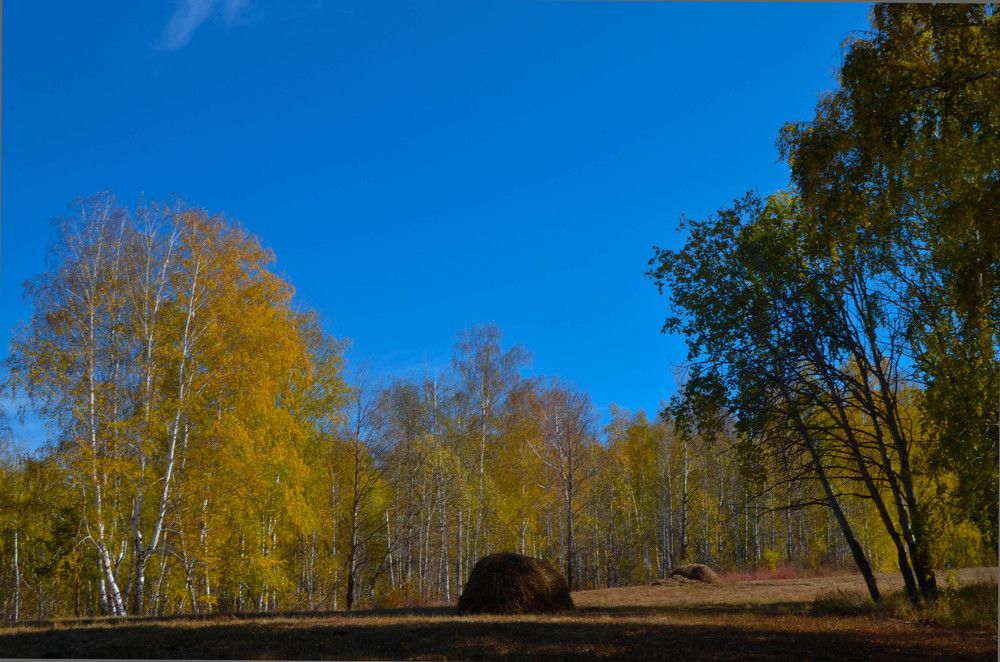 Photograph by Ольга Мокрова