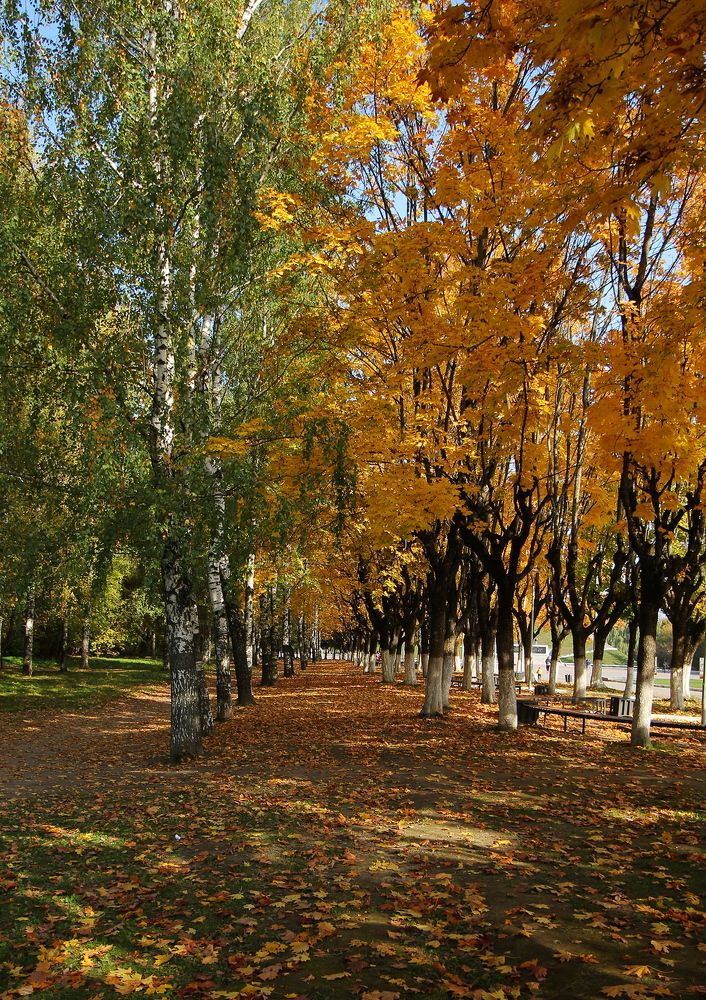 Фотография автора Геннадий Титов