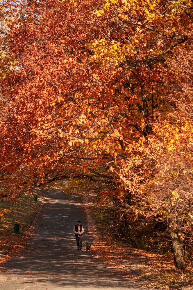 Photograph by Ольга Кудина