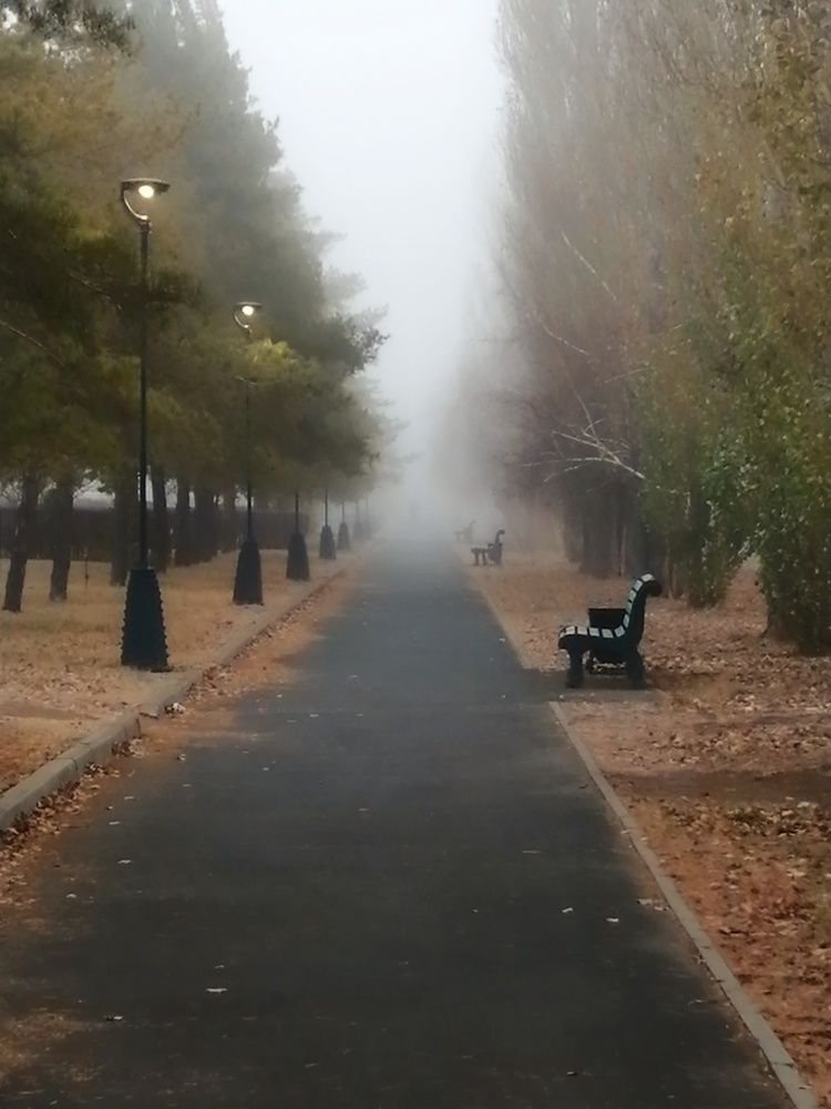 Photograph by Ольга Мокрова