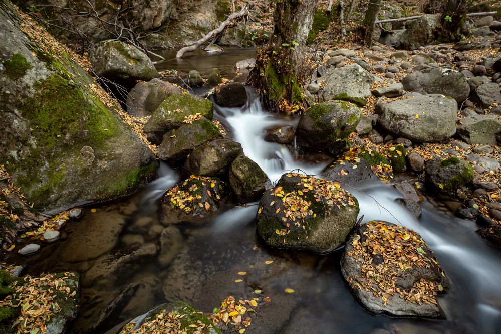 Photograph by Evgeny Ruban