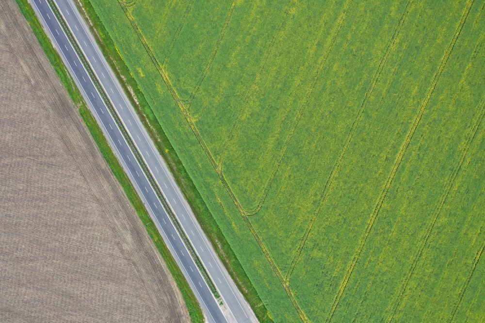 Photograph by Tatiana Kravchuk