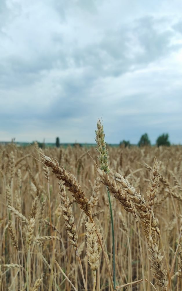 Photograph by Серж