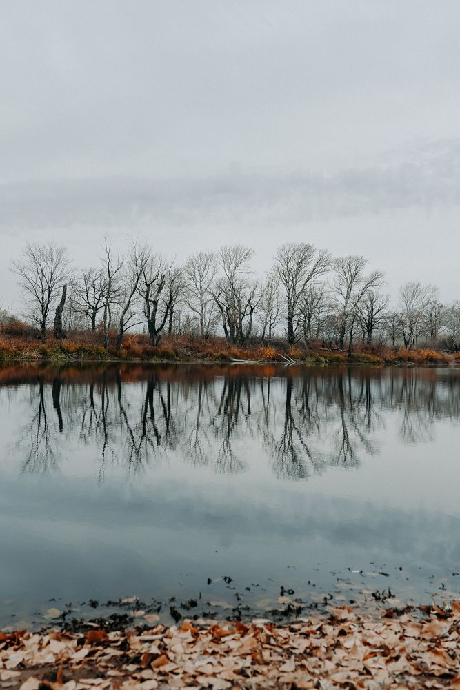 Photograph by Кристина Савиновская