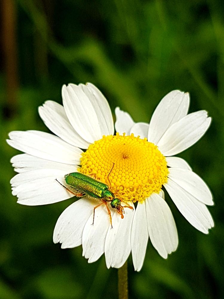 Photograph by Ali öztürk