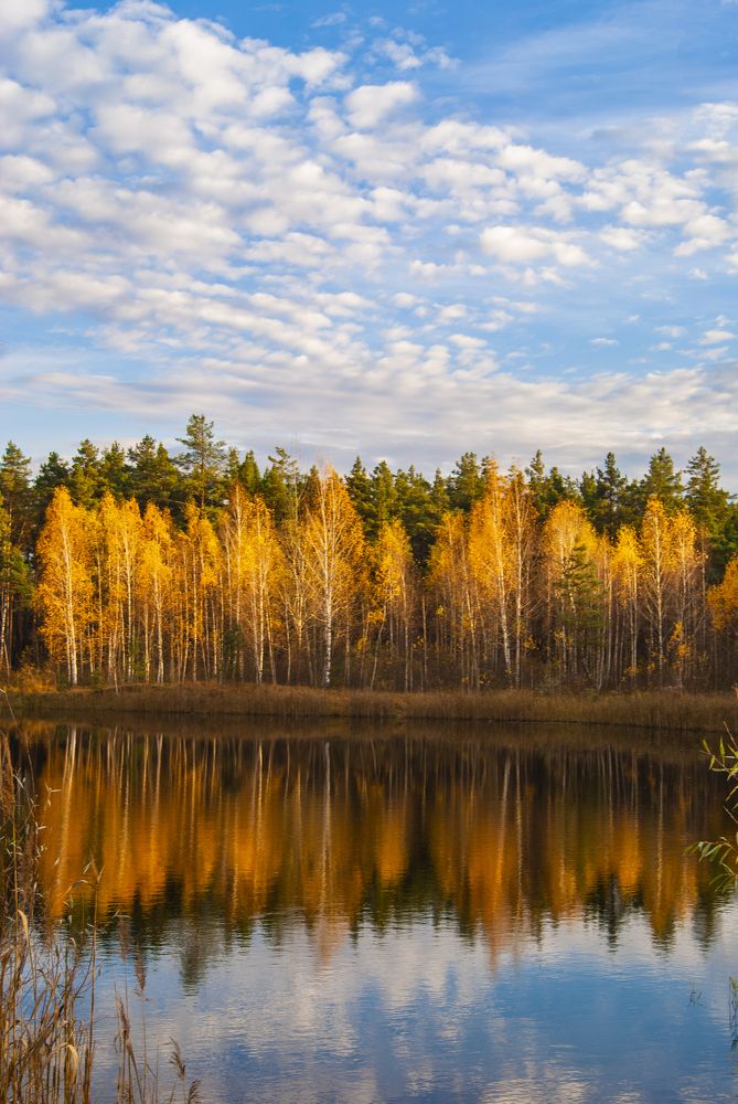 Photograph by Екатерина Бахтинова