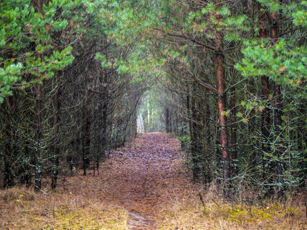 Photograph by Руслан Ибрагимов