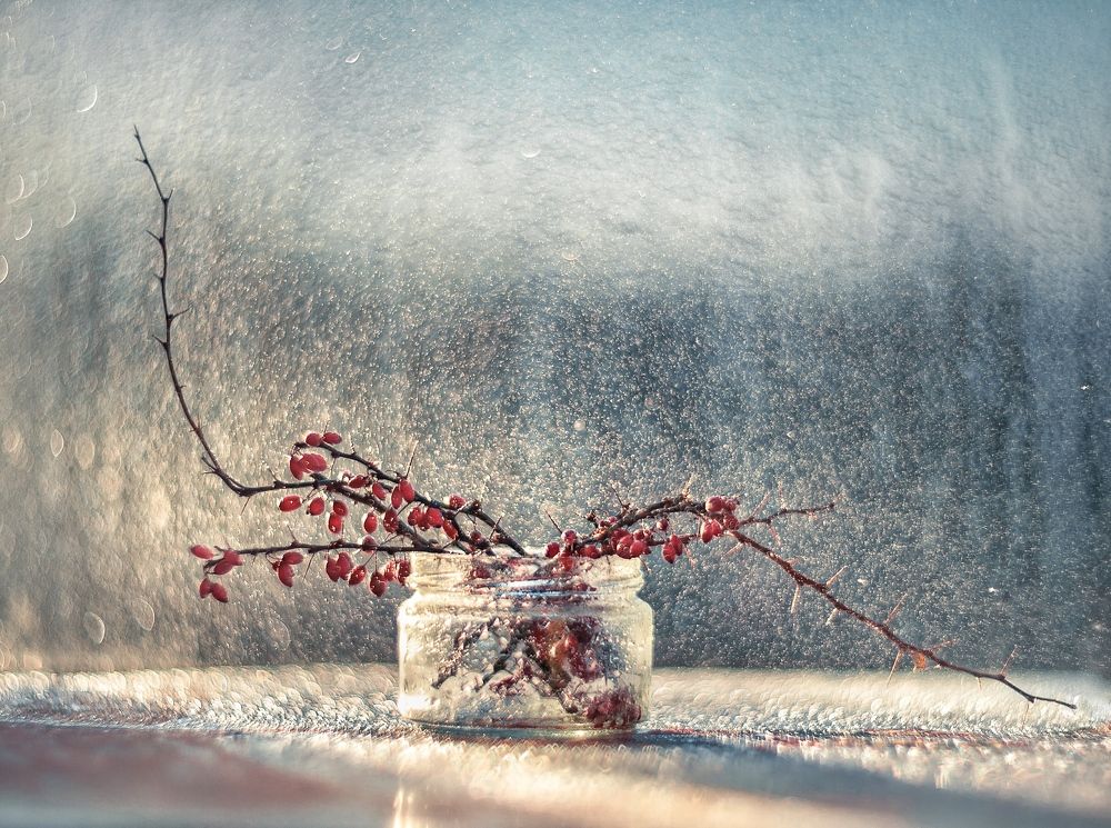 Photograph by Владимир Жуков