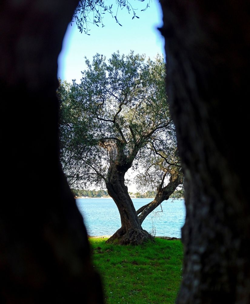 Photograph by Helena