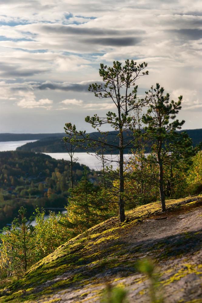 Фотография автора Alexey Beskorovayniy