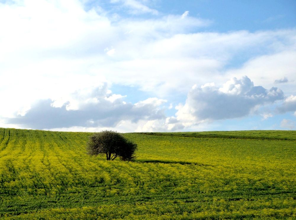 Photograph by Ali Öztürk