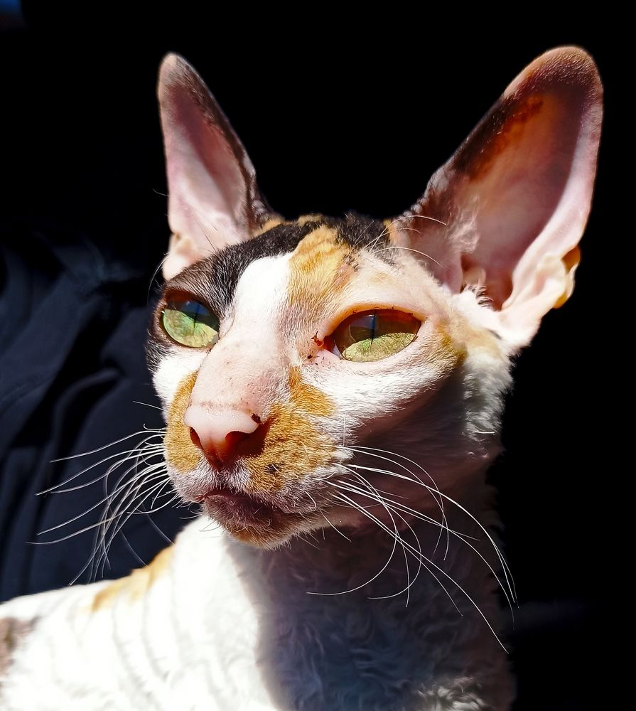 Photograph by Helena