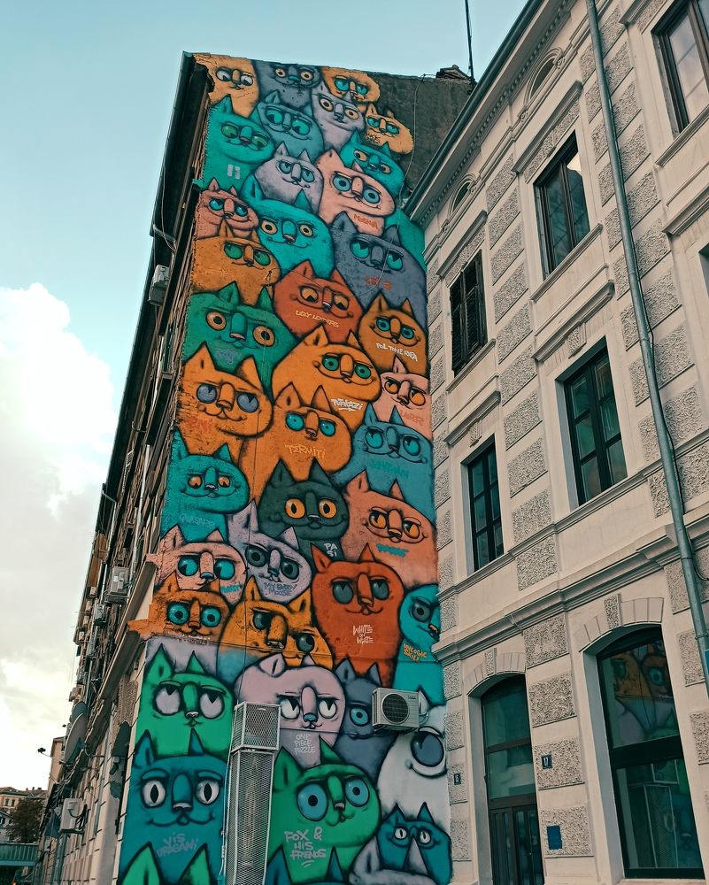 Photograph by Helena