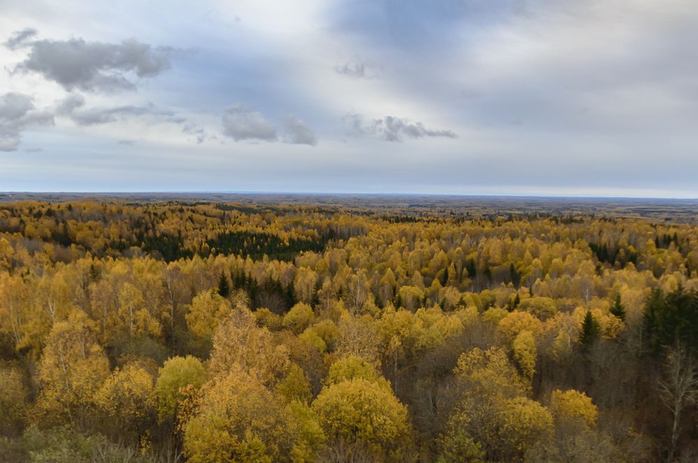 Photograph by Ahto Avi