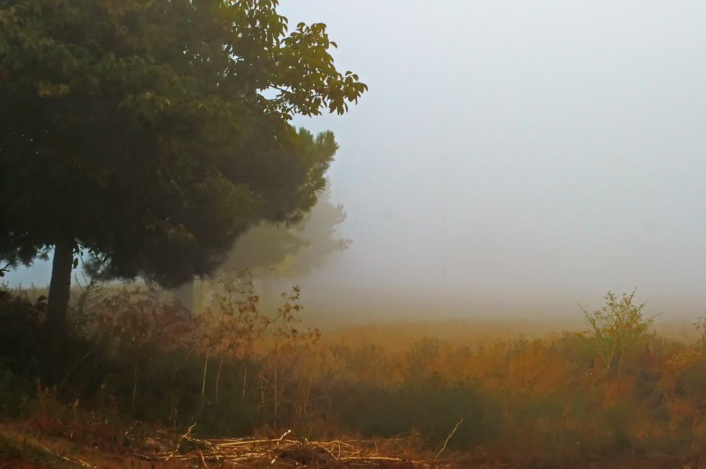 Photograph by Анатолий Святой