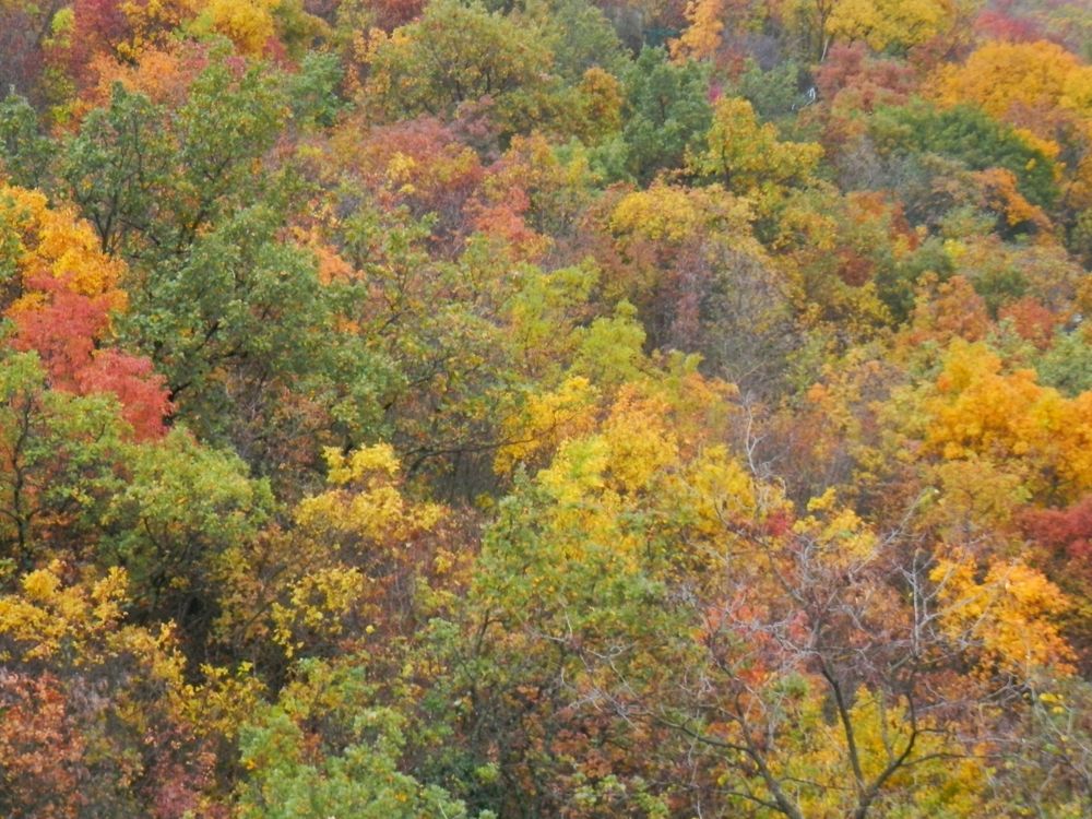 Photograph by Helena