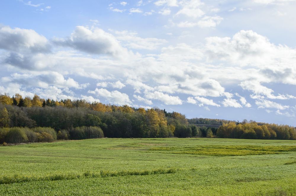 Photograph by Ahto Avi