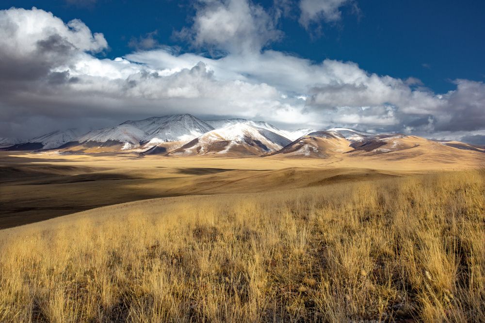 Photograph by Марина Бузина