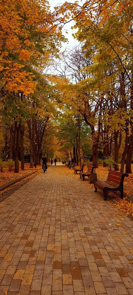 Photograph by Ольга Кудина