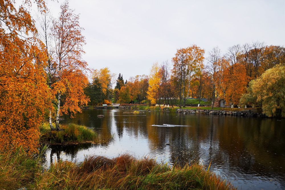 Photograph by Татьяна Бравая