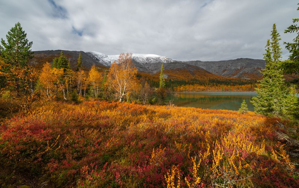 Photograph by Варвара Сапрыкина