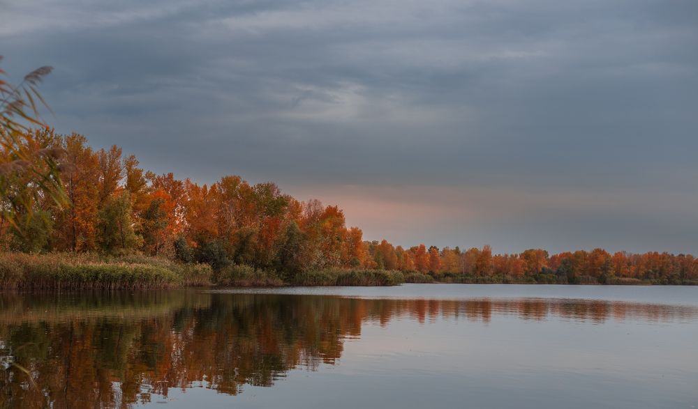 Photograph by Сергей Самарский
