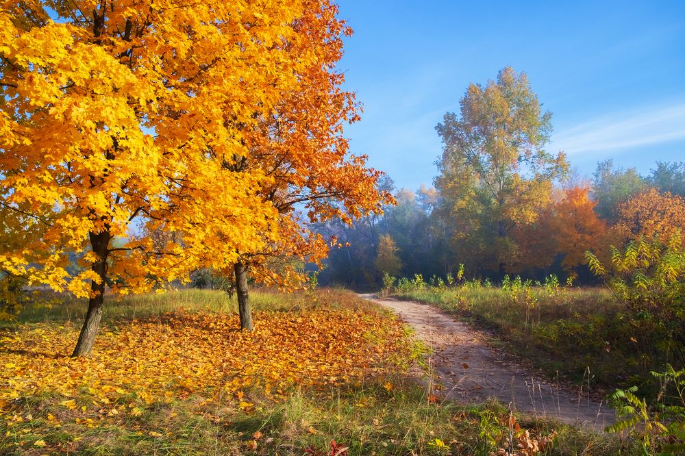 Photograph by Alex Arendar