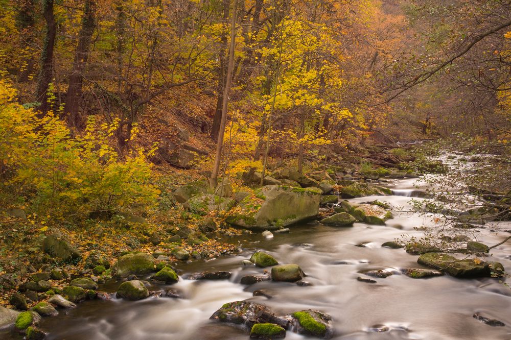 Осень в Гарце.
