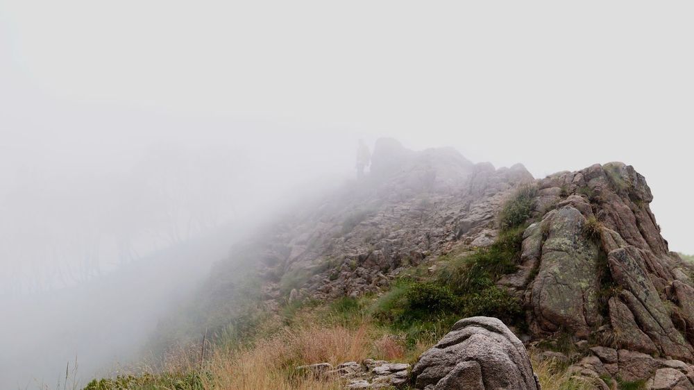 Фотография автора Алина Прищепа