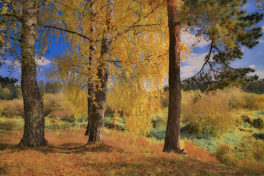 Осеннее впечатление...