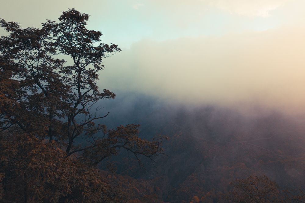 Photograph by Aleksandr Ivanov