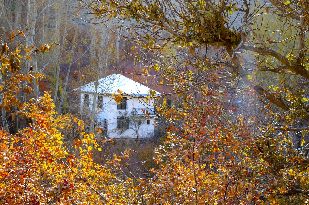 Photograph by negar zomorrod