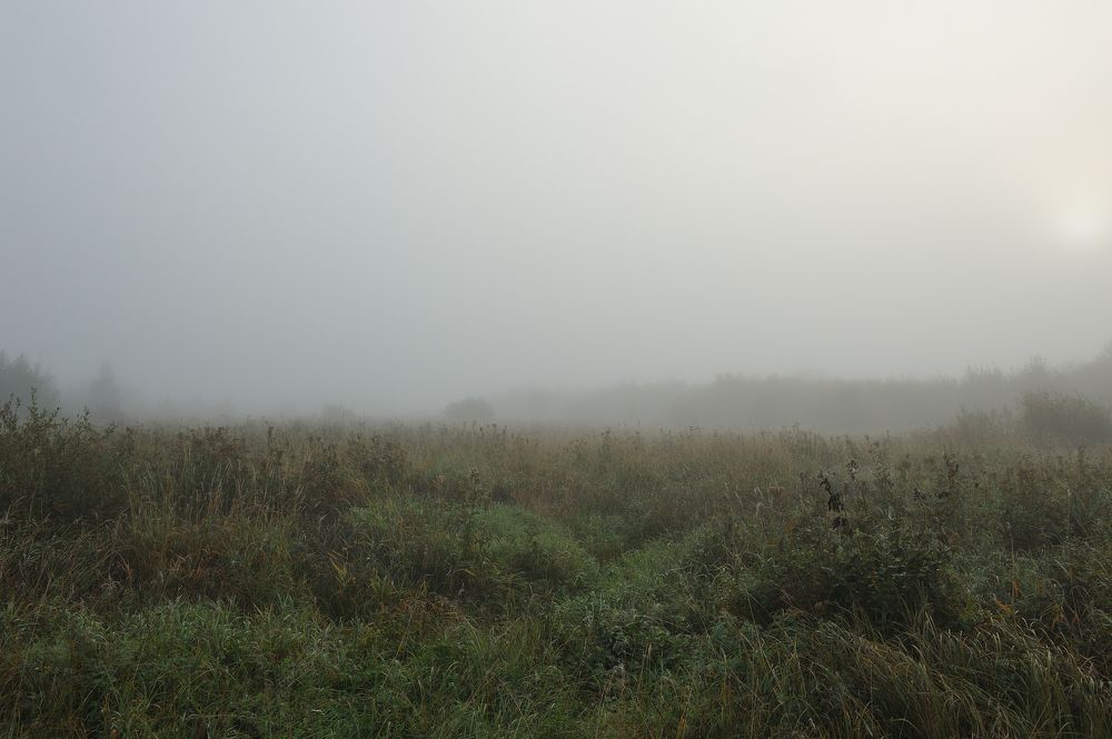 Photograph by Григорий Пиль