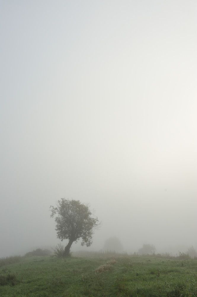 Photograph by Григорий Пиль