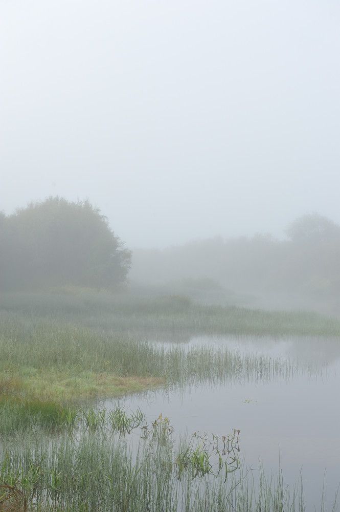 Photograph by Григорий Пиль