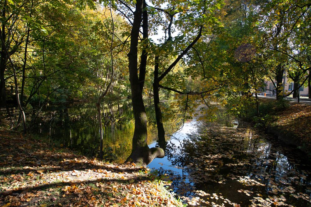Photograph by Дмитрий Урюпин