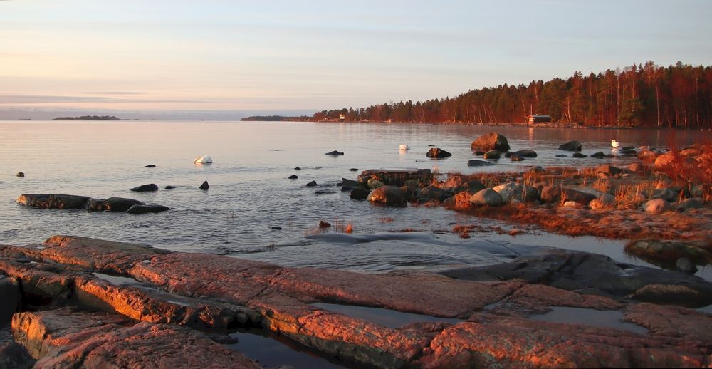 Photograph by Epp Tappel