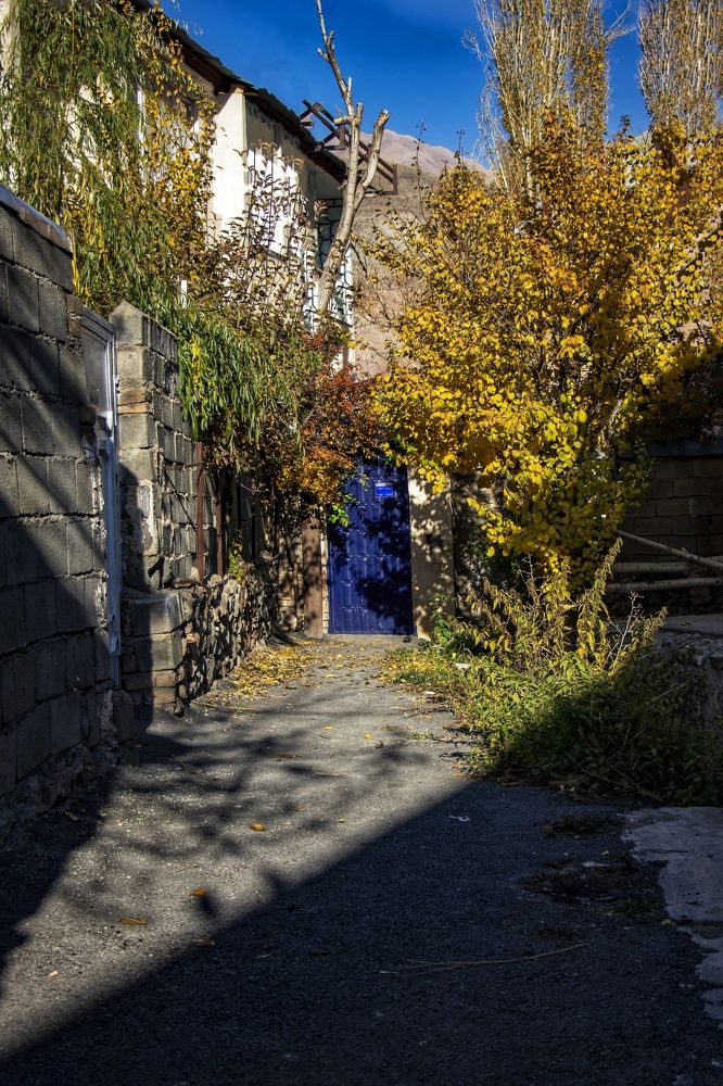 Photograph by negar zomorrod