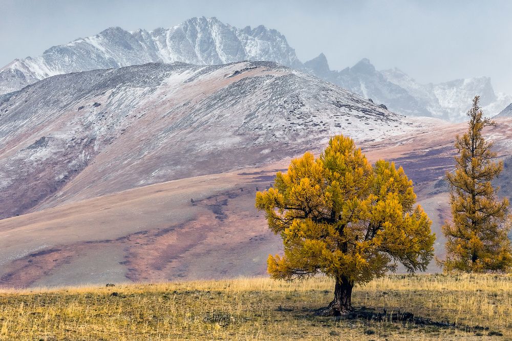 Photograph by Ярослав Лукьянов