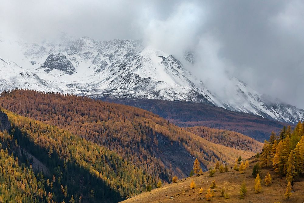 Photograph by Ярослав Лукьянов