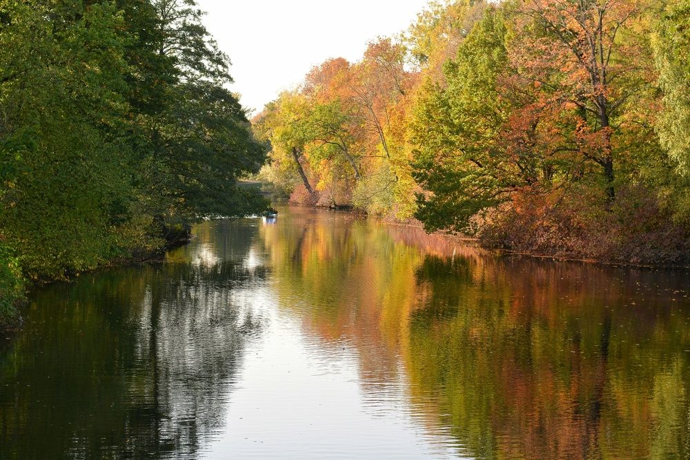 Photograph by Алексей Фомичев