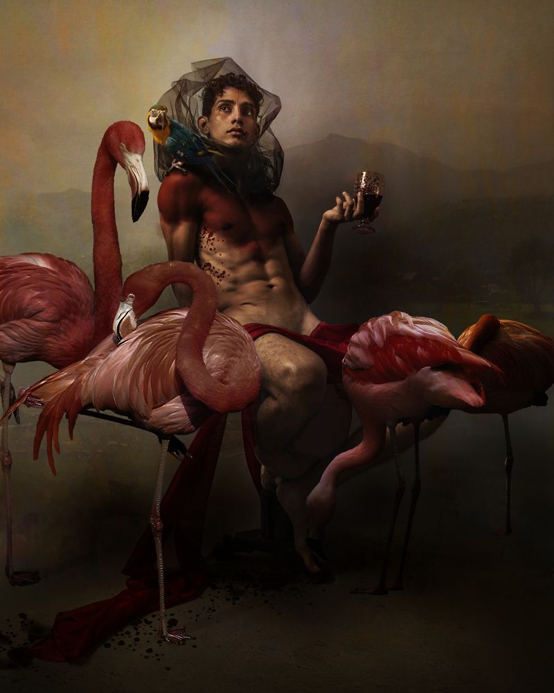 In the Time of Dyonisos