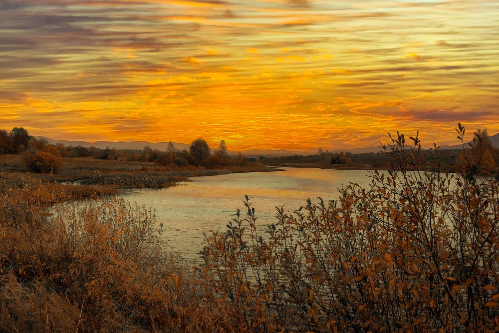 Photograph by Владимир Крышковец