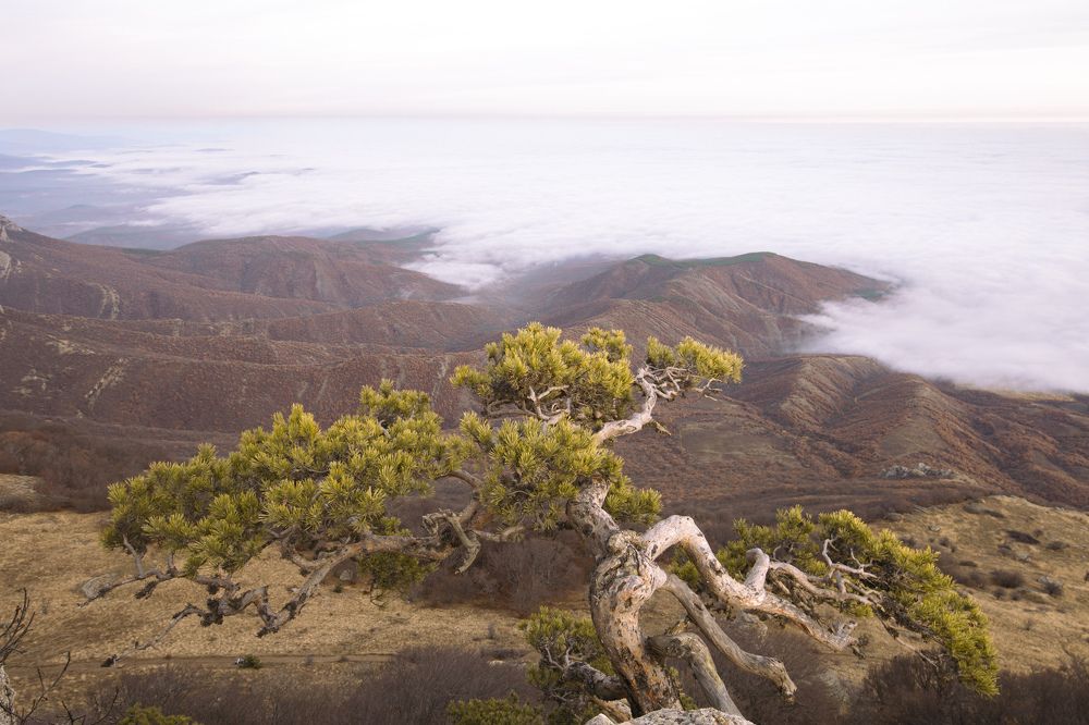 Photograph by Денис Елагин