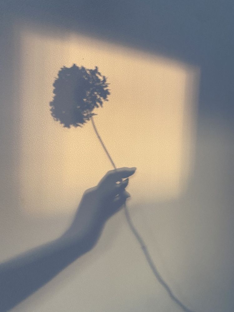 Photograph by Anna Fakhrutdinova