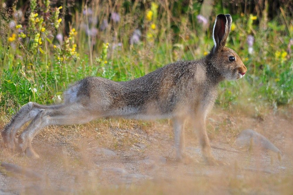 Photograph by Юрий Яковлев