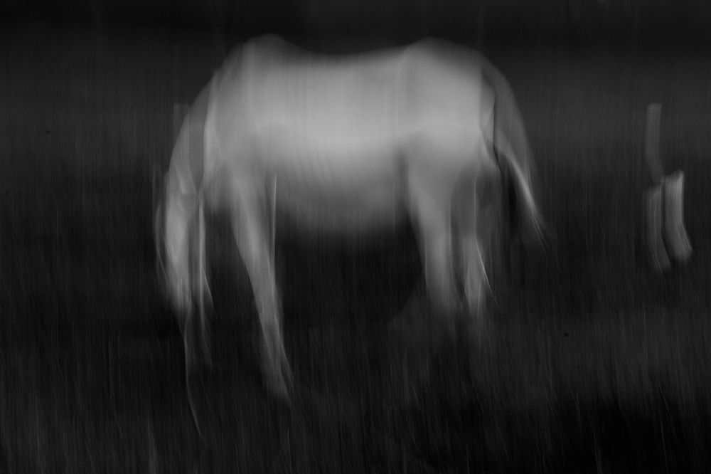 The Way We See Dreams